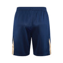 Barcelona Training Set Tank Top Shirt + Shorts 24/25 - Men's Nike - Royal Blue (Nike Yellow)