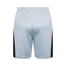 Paris Saint-Germain Training Set Tank Top Shirt + Shorts 23/24 - Men's Jordan - Light Grey