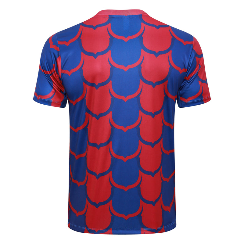 Conjunto Barcelona Treino Camisa manga curta + short 24/25 - Masculino Nike - vermelha e azul