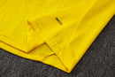 Conjunto Borussia Dortmund 24/25 - Amarelo