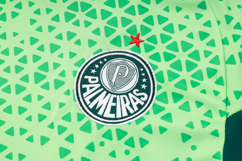 Conjunto Palmeiras Treino 24/25 - Masculino Puma - verde