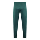 Conjunto Palmeiras Treino 24/25 - Masculino Puma - Verde