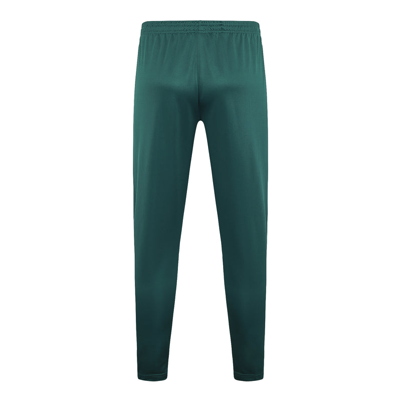 Conjunto Palmeiras Treino 24/25 - Masculino Puma - Verde