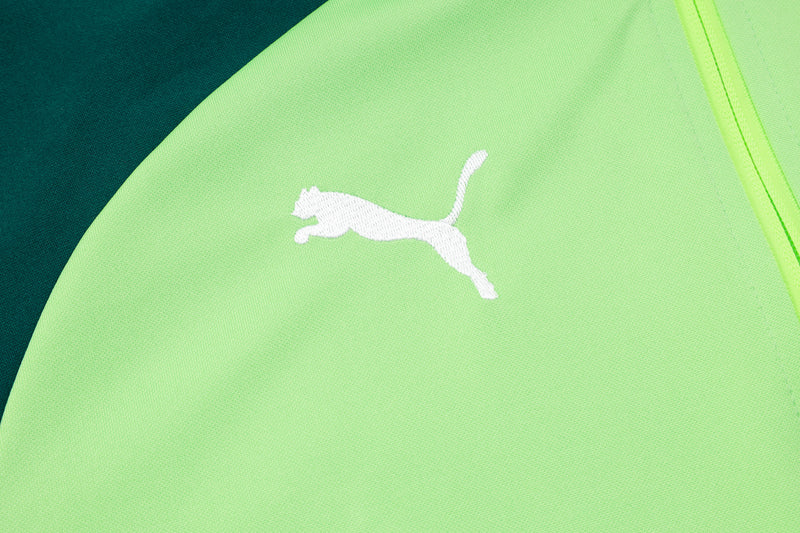 Conjunto Palmeiras Treino 24/25 - Masculino Puma - Verde