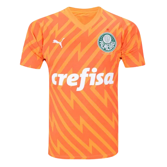 Camisa Palmeiras Goleiro III 24/25 - Torcedor Puma Masculina - Laranja