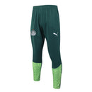 Conjunto Palmeiras Treino 24/25 - Masculino Puma - Verde