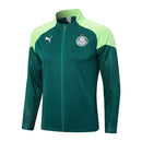Conjunto Palmeiras Treino 24/25 - Masculino Puma - Verde