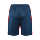 Paris Saint-Germain Training Set Tank Top Shirt + Shorts 24/25 - Men's Jordan - Red and Blue