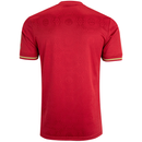 Camisa Bayern de Munique Edição especial Aniversário 125 anos 25/26 - Torcedor Adidas Masculina - Vinho com detalhes em dourado