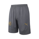 Conjunto Milan Treino Camisa manga curta + short 24/25 - Masculino Puma - Cinza