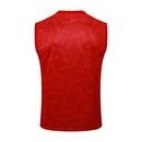 Conjunto Paris Saint-Germain Treino Camisa Regata + short 24/25 - Masculino Jordan - vermelho