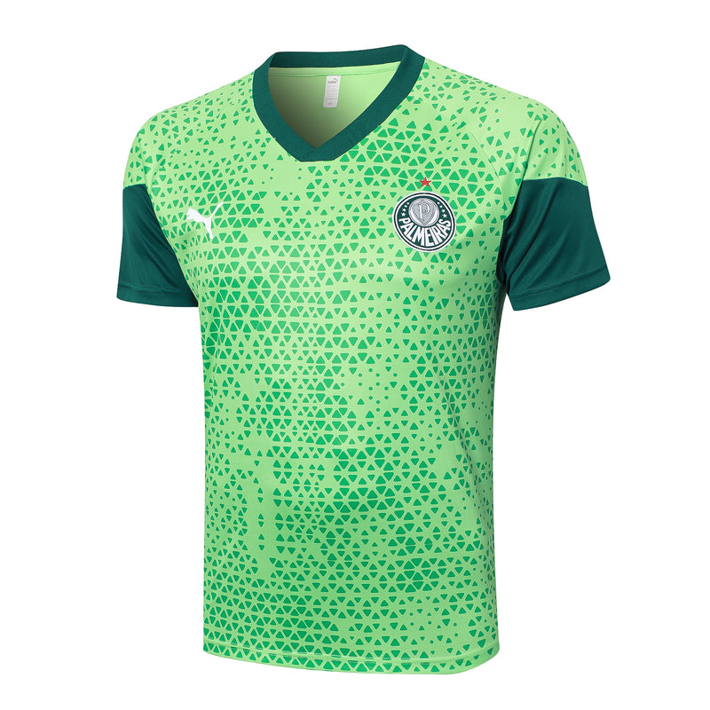 Conjunto Palmeiras Treino 24/25 - Masculino Puma - verde