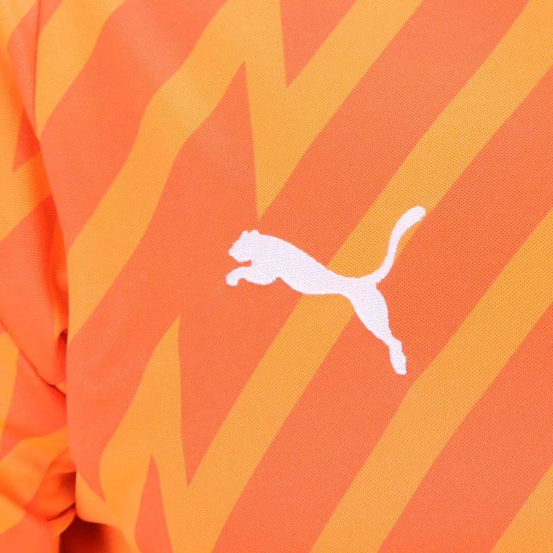 Camisa Palmeiras Goleiro III 24/25 - Torcedor Puma Masculina - Laranja
