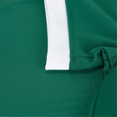 Camisa Palmeiras I 24/25 - Torcedor Puma Masculina - Verde