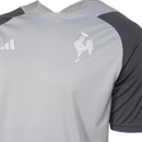 Camisa Atlético Mineiro Treino 24/25 - Torcedor Adidas Masculina - Cinza e preta