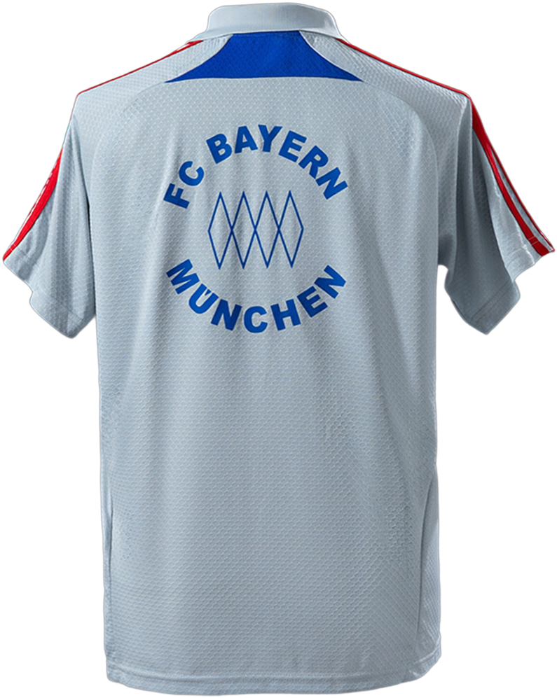 Bayern München 25/26 Polo Grey