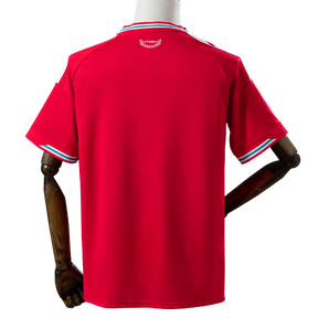 Camisa País de Gales 2026 I Home - Versão Torcedor