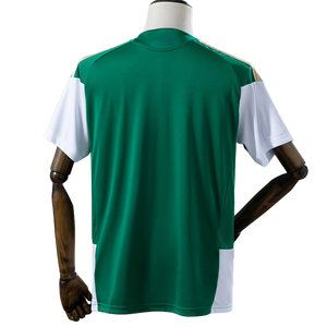 Camisa de treino verde italia 25/26 - Fan
