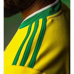 Camisa Flamengo Verde Amarelo 2026 - Torcedor