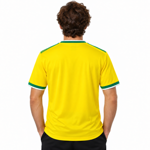 Internacional 2026 Edição Especial Brasil - Torcedor