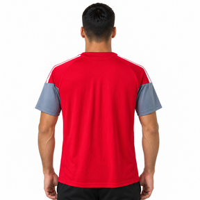 Internacional 2026 Treino - Torcedor
