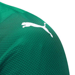 Camisa Palmeiras 25/26 I Home - Versão Jogador