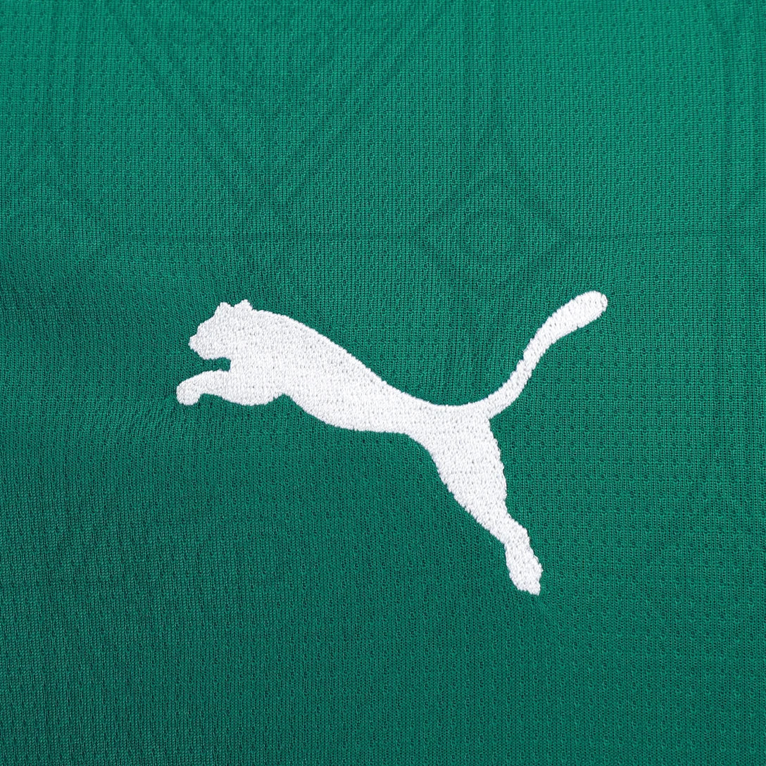Camisa Palmeiras 25/26 I Home - Versão Torcedor