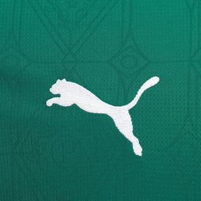 Camisa Palmeiras 25/26 I Home - Versão Torcedor