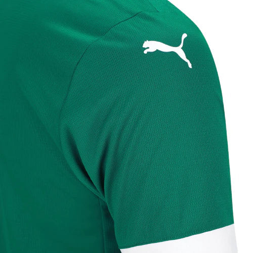 Camisa Palmeiras 25/26 I Home - Versão Torcedor