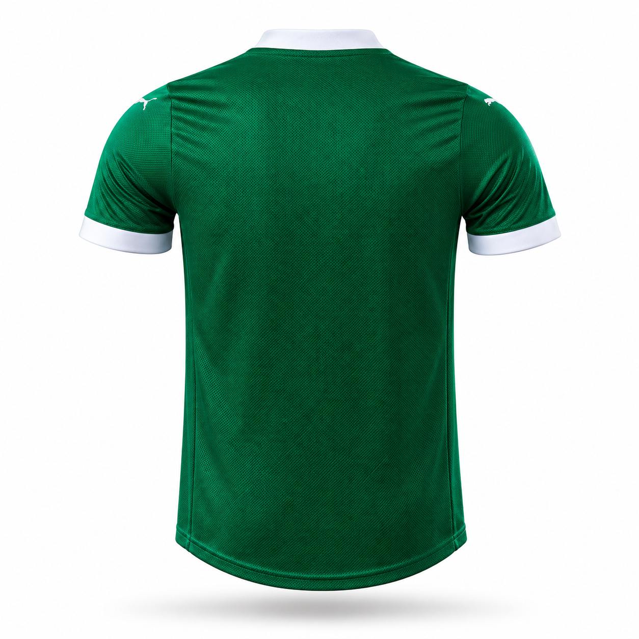 Palmeiras 2025 Home - Jogador
