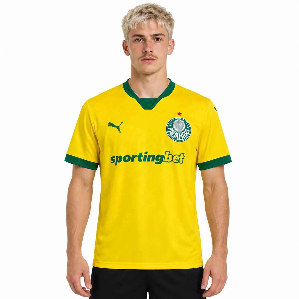 Palmeiras 2025 Terceiro Uniforme - Torcedor