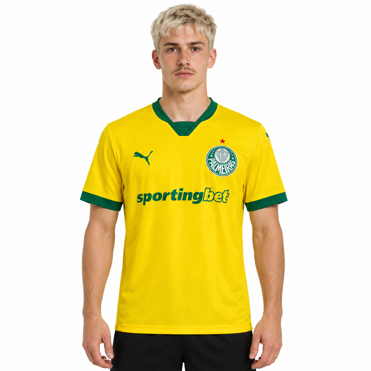 Palmeiras 2025 Third - Torcedor