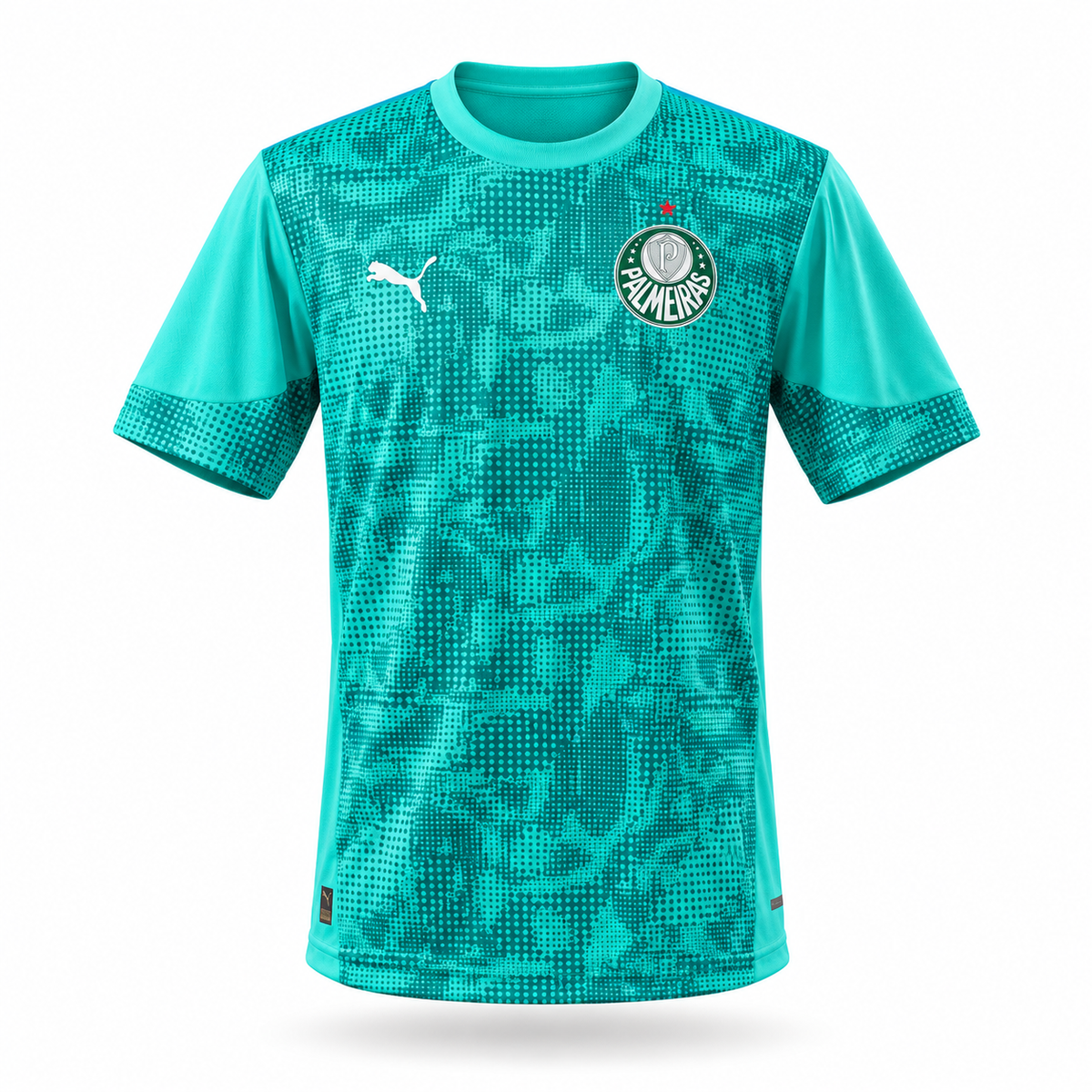 Palmeiras 2026 Treino - Torcedor