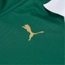 Camisa Palmeiras I 24/25 - Torcedor Puma Masculina - Verde