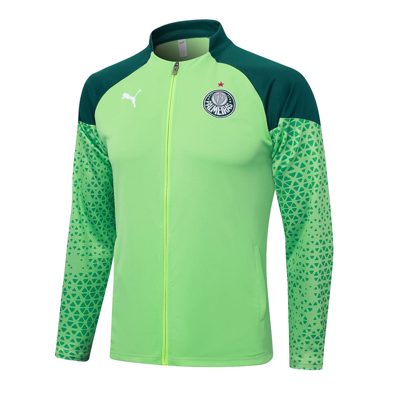 Conjunto Palmeiras Treino 24/25 - Masculino Puma - Verde