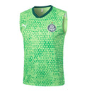 Conjunto Palmeiras Treino 24/25 - Masculino Puma - verde