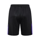 Paris Saint-Germain Training Set Tank Top Shirt + Shorts 24/25 - Men's Jordan - Black