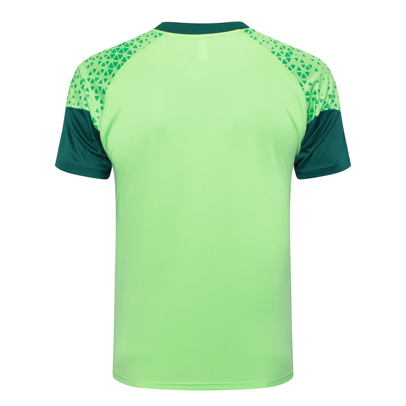 Conjunto Palmeiras Treino 24/25 - Masculino Puma - verde