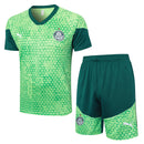 Palmeiras Training Set 24/25 - Men's Puma - green
