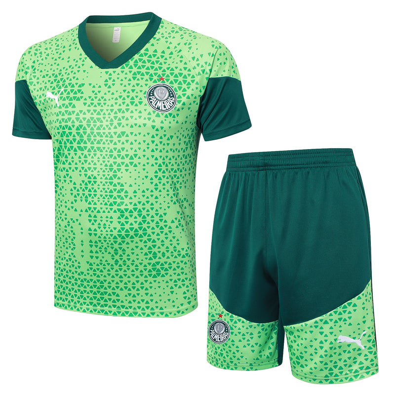 Conjunto Palmeiras Treino 24/25 - Masculino Puma - verde