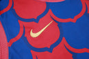 Barcelona Training Set Tank Top Shirt + Shorts 24/25 - Men's Nike - red and blue