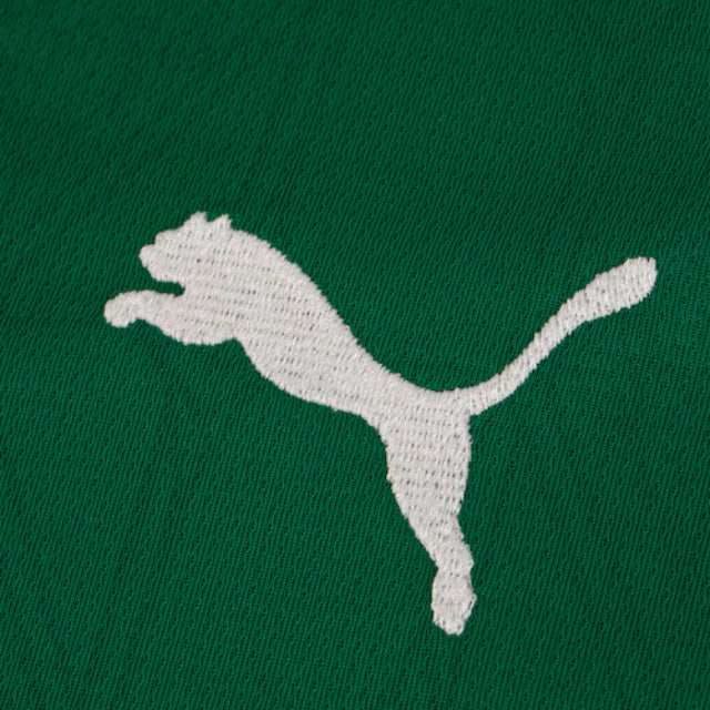 Camisa Palmeiras I 25/26 - Torcedor Puma Masculina - Verde
