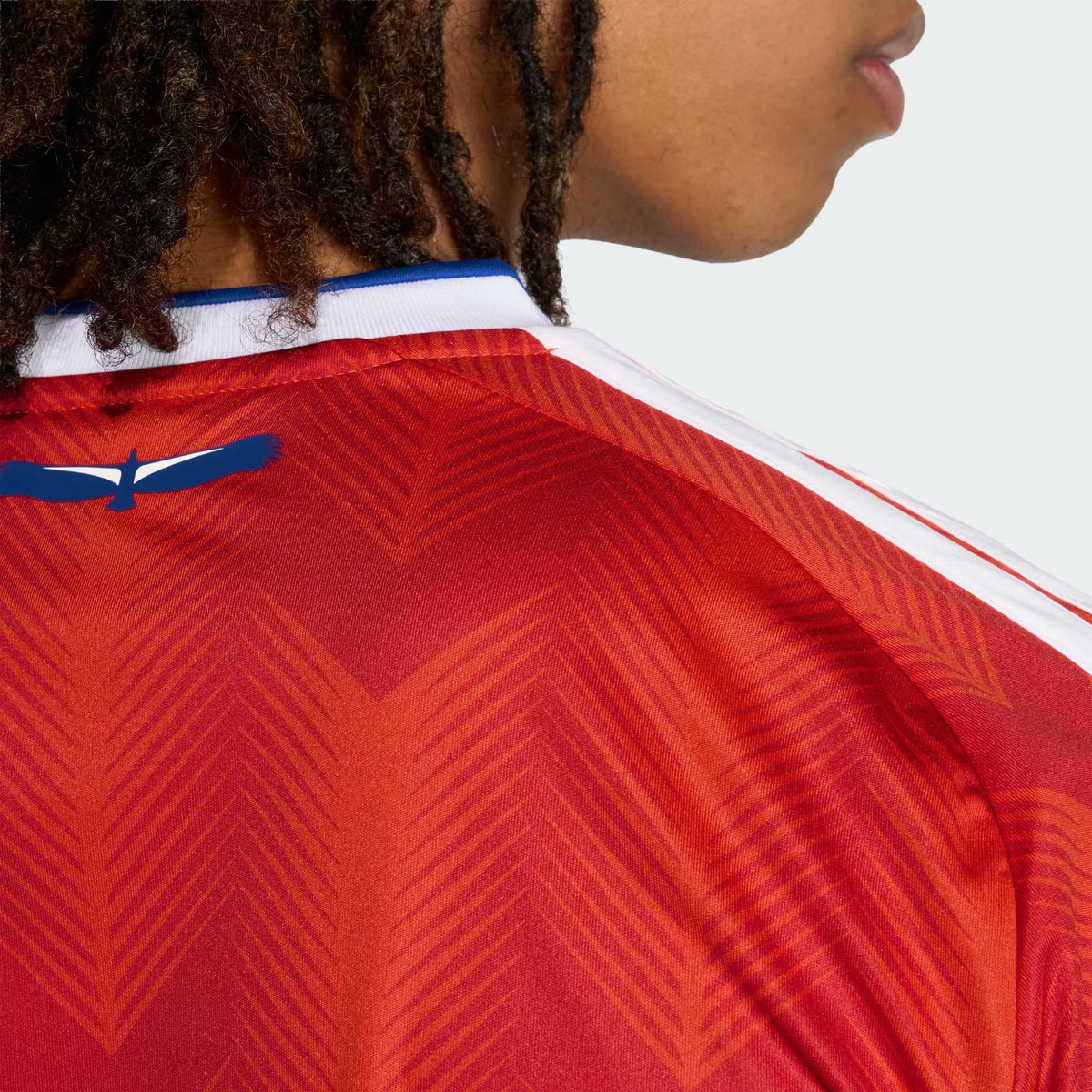 Chile 2026 Home - Fan