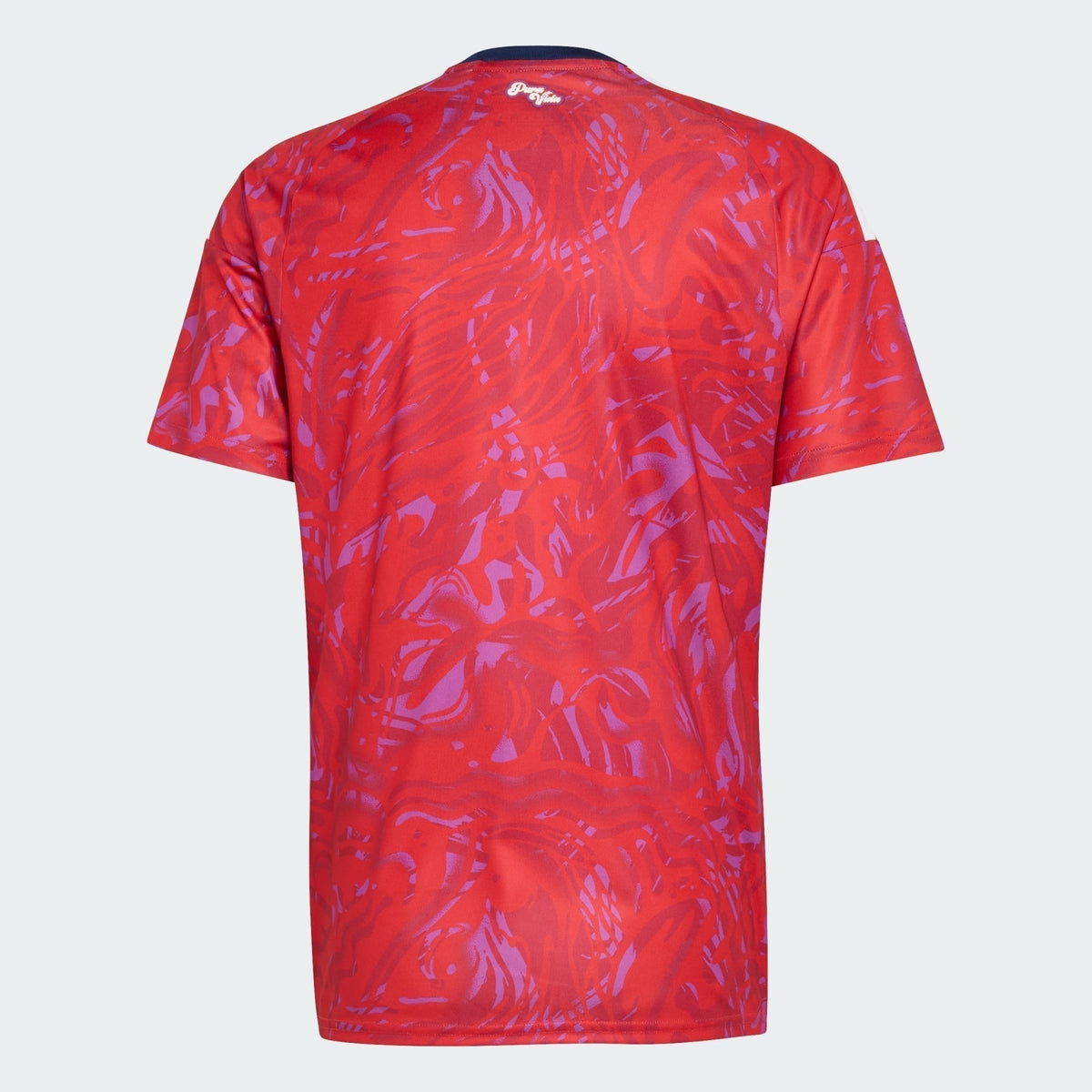 Costa Rica 2026 Local - Aficionado