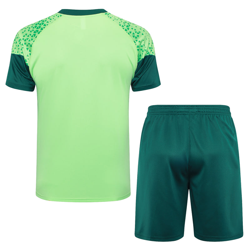 Conjunto Palmeiras Treino 24/25 - Masculino Puma - verde