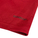 Camisa Bayern de Munique Edição especial Aniversário 125 anos 25/26 - Torcedor Adidas Masculina - Vinho com detalhes em dourado