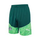 Palmeiras Training Set 24/25 - Men's Puma - green