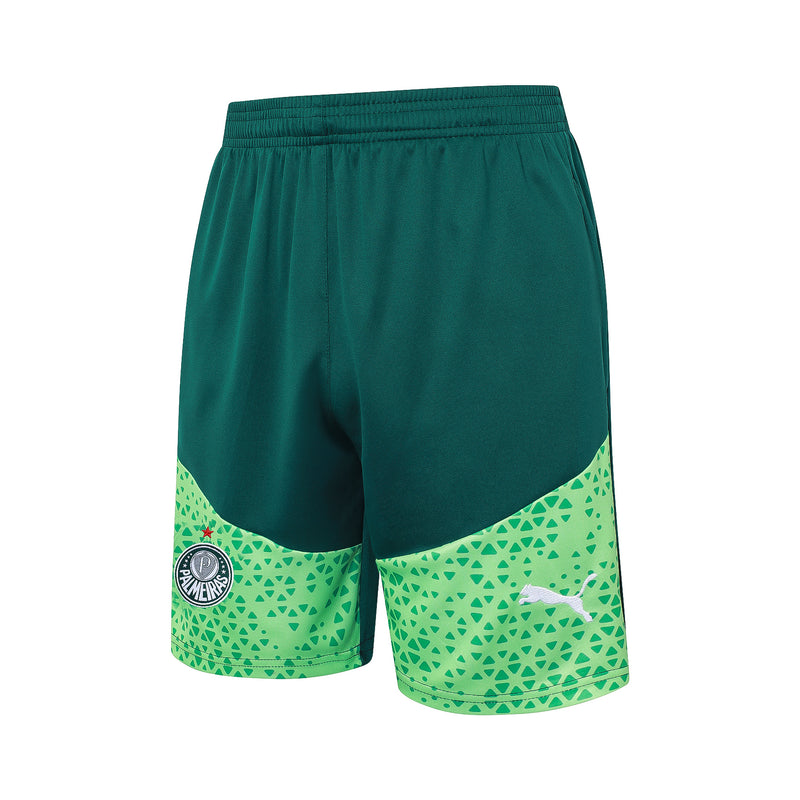 Conjunto Palmeiras Treino 24/25 - Masculino Puma - verde