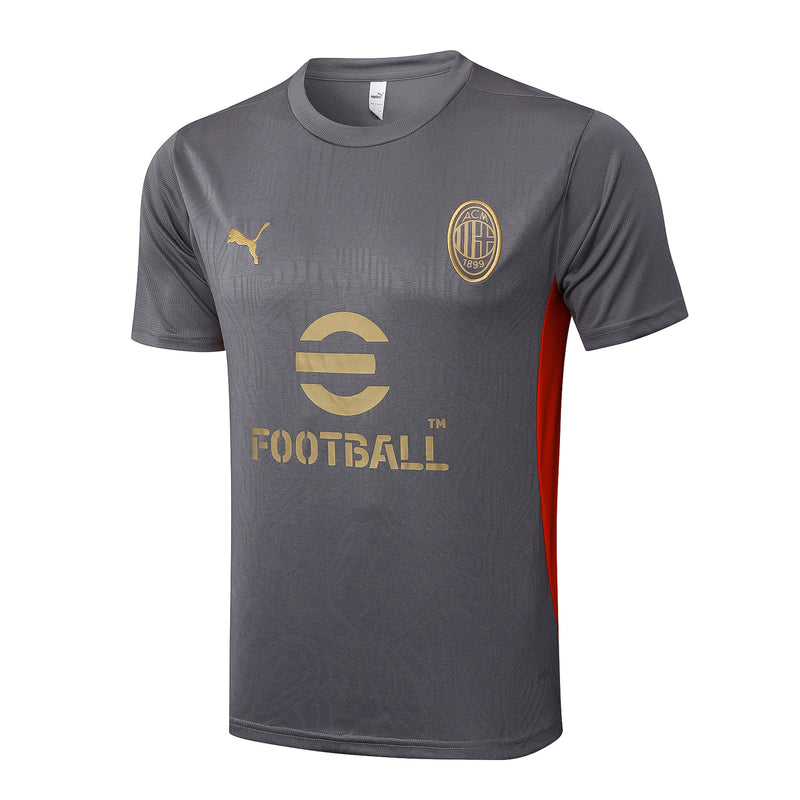 Milan Training Set Short Sleeve Shirt + Shorts 24/25 - Men's Puma - Gray