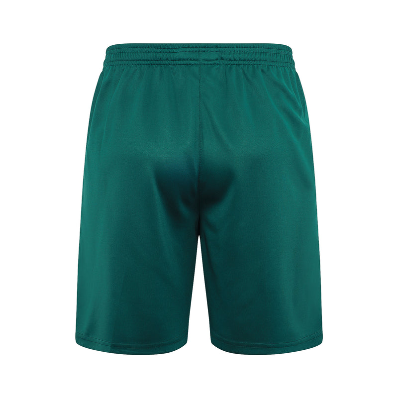 Conjunto Palmeiras Treino 24/25 - Masculino Puma - verde